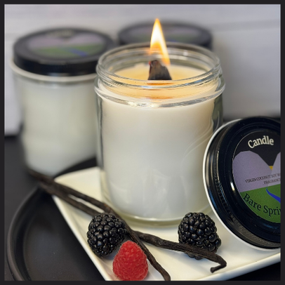 Black Raspberry and Vanilla-Aromatic Candle
