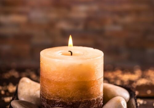 Zesty Mint Wooden Wick Candle